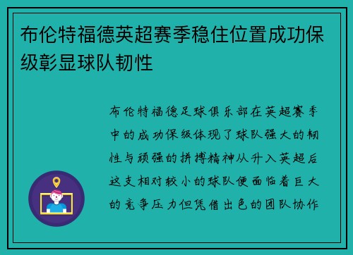 布伦特福德英超赛季稳住位置成功保级彰显球队韧性