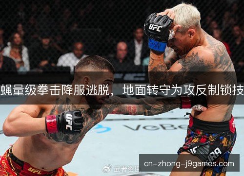 蝇量级拳击降服逃脱，地面转守为攻反制锁技